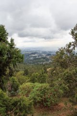 15-View of Addis Ababa from Entoto Hills